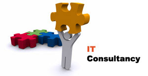 IT Consultants