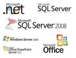 Microsoft Platform
