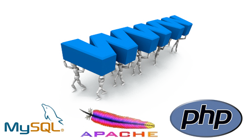 Website Design & Development